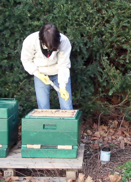 Oxalsure - Anwendung im Winter